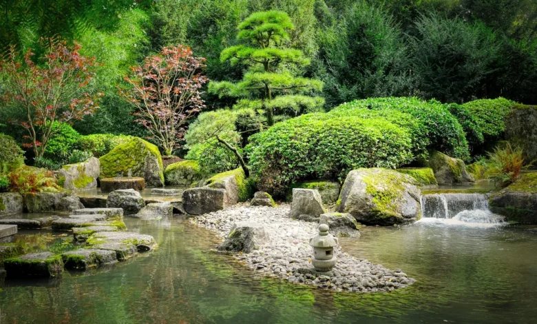 Zen Garden Ideas on a Budget