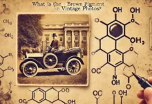 What is the Brown Pigment in Vintage Photos?