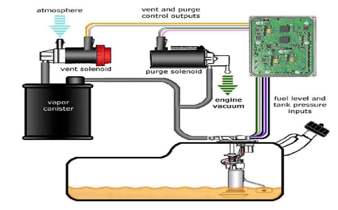 What Does Evaporative Emission System Leak Mean