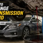 How to Change Transmission Fluid